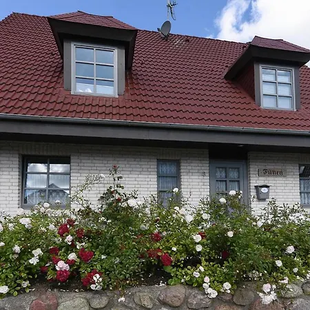 Apartament - Dns10050-cyb *