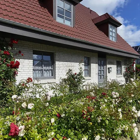 Apartament - Dns10050-cyb *